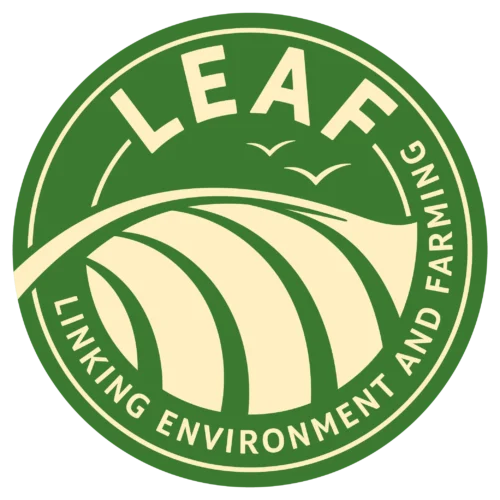 leaf-logo